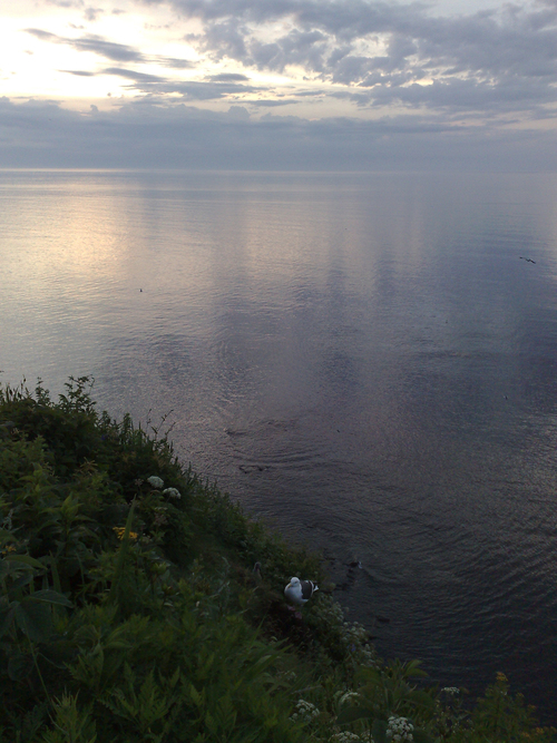 e0080165_12272933.jpg