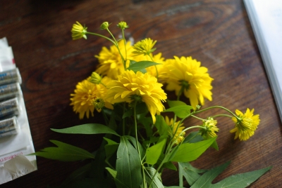 裏庭のキクっぽい花と、女神湖花火大会_c0110869_22421858.jpg