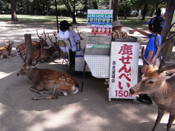 なら・鹿・燈花会（とうかえ）_e0066369_8514852.jpg