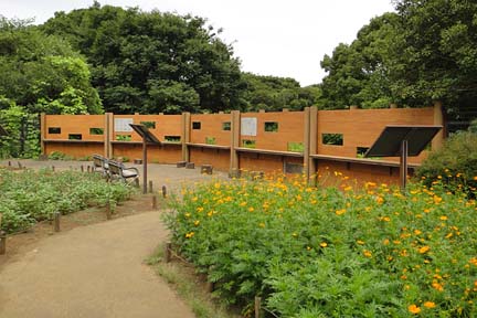 砧公園バードサンクチュアリ Fire And Forget