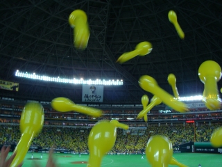 d0182075_517469.jpg