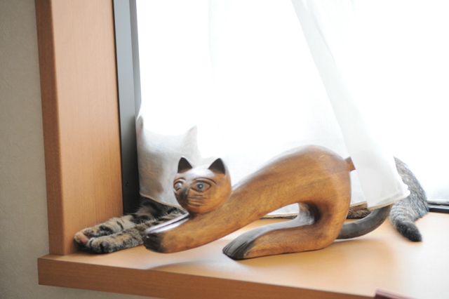 お母さん、大丈夫?_a0126590_8433561.jpg
