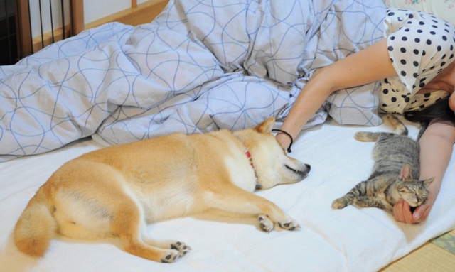 お母さん、大丈夫?_a0126590_8444267.jpg
