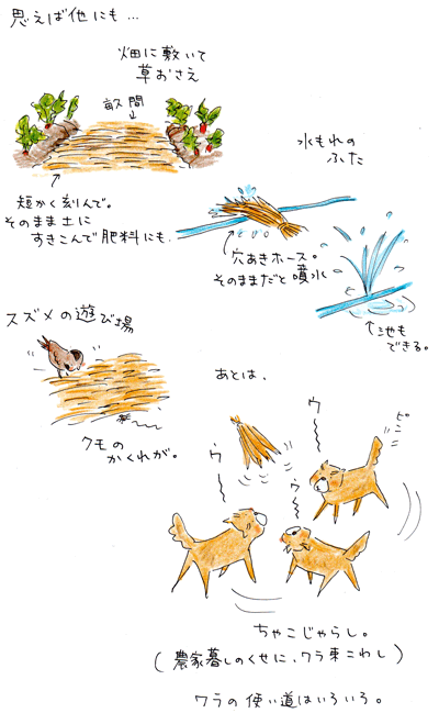 f0236291_905020.gif