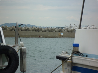 d0017894_15243414.jpg
