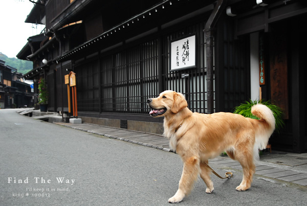 【犬的散歩日和】飛騨高山・三町　２／４ 〜 守られる記憶_f0054594_54413.jpg