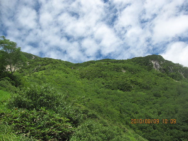 c0133096_1631171.jpg