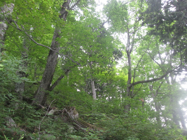 c0133096_17424523.jpg