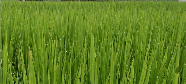 c0015099_21461883.jpg