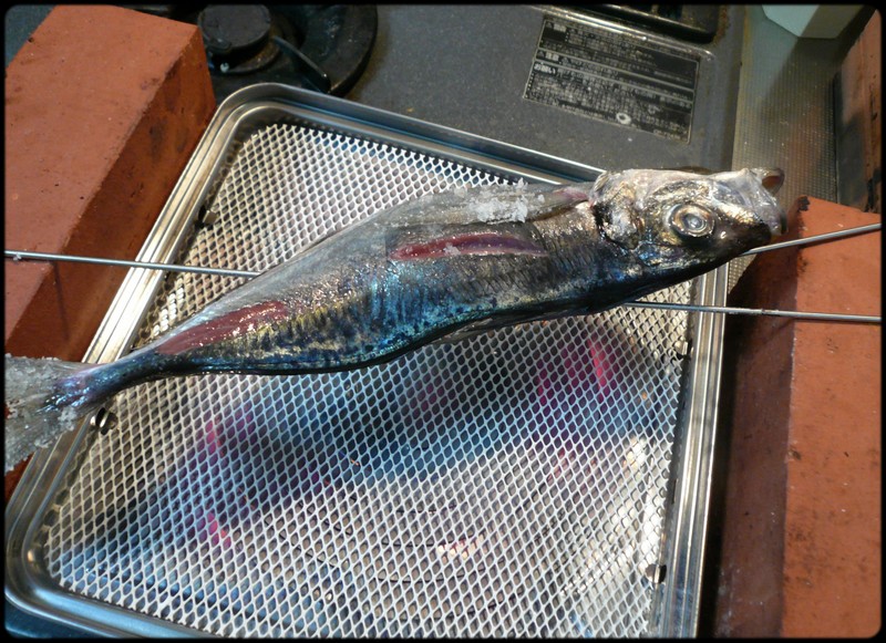 踊り串で豪快に アジの塩焼 魚と野菜と私と和ノ香