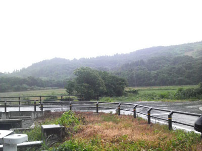 f0082402_8455919.jpg