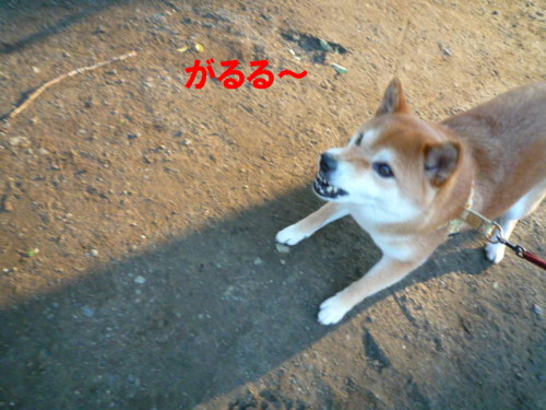 e0131506_22572190.jpg