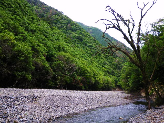 a0129011_843244.jpg