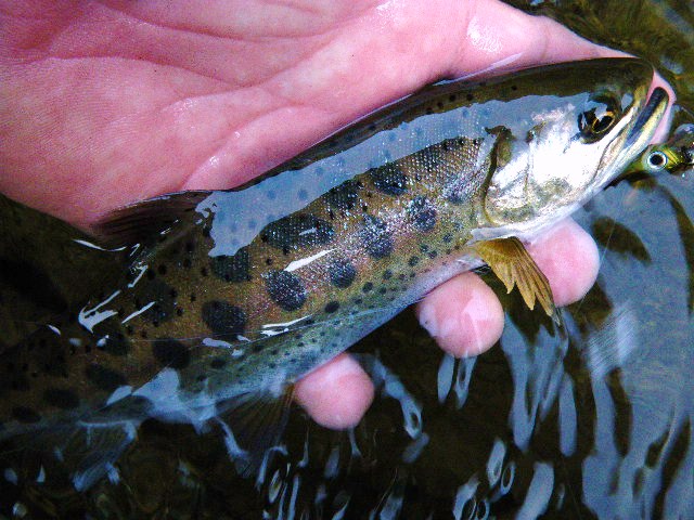 a0129011_94588.jpg