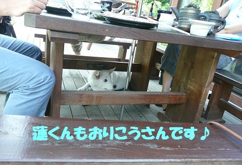 夏の旅行記②＜八ヶ岳自然文化園～沙羅ちゃん＆琉生くんと合流（8/4）＞_f0121712_12253428.jpg