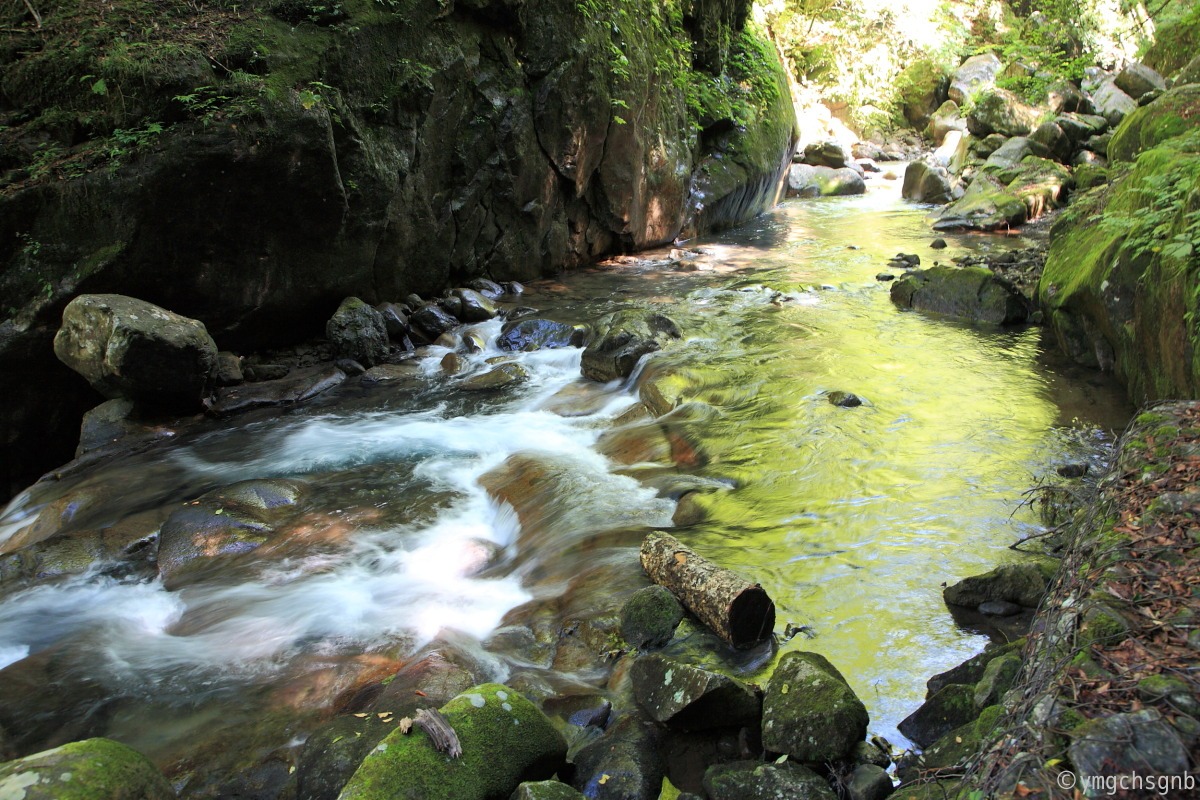 西沢渓谷で水遊び_f0157812_7121390.jpg