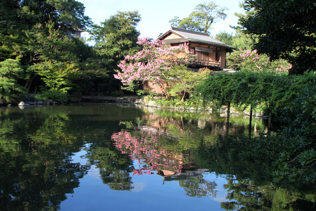 京都の夏 拾翆亭_e0048413_17462289.jpg