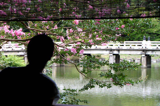 京都の夏 拾翆亭_e0048413_17472666.jpg