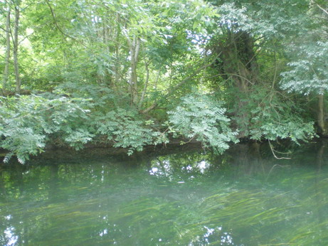 c0124619_19331379.jpg
