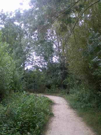 c0124619_1934138.jpg