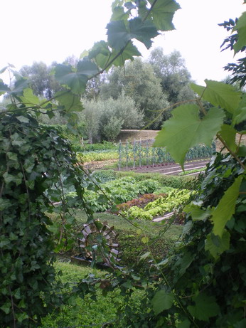 c0124619_1935646.jpg