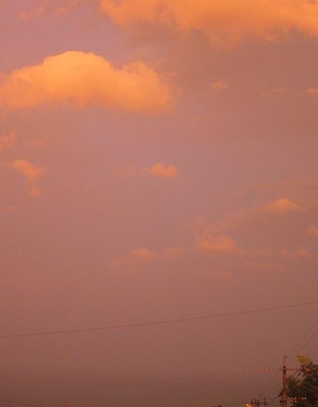 c0097620_2311447.jpg