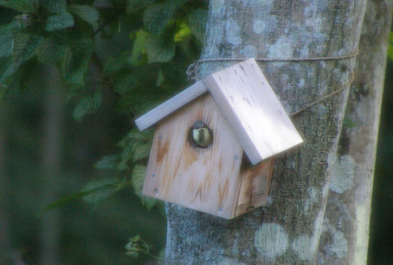 e0136424_20392130.jpg