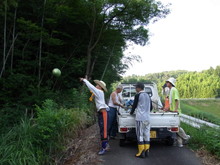 集落ふるふる協力隊のメンバー来る(その1)_e0061225_10563116.jpg