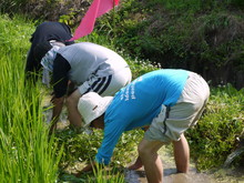 集落ふるふる協力隊のメンバー来る(その2)_e0061225_11472360.jpg