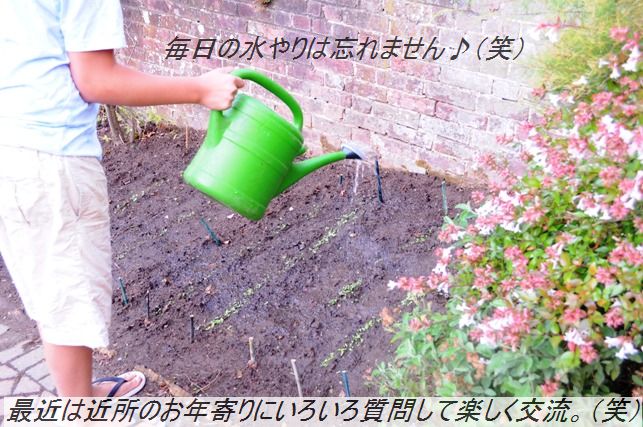 たっぷり夏野菜そぼろとん汁♪_d0104926_1262623.jpg