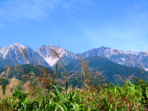 宿泊状況_b0140235_23153670.jpg