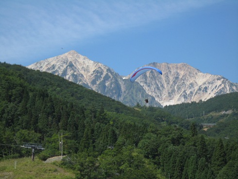 宿泊状況_b0140235_2315574.jpg