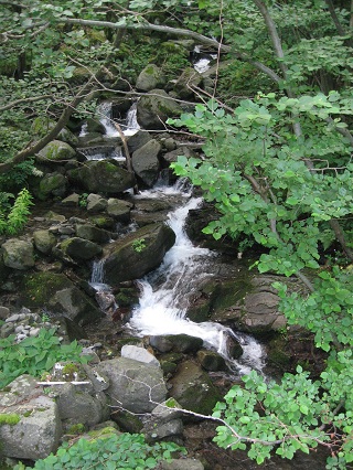 百の湖自然公園を訪ねて1_f0234936_5143933.jpg