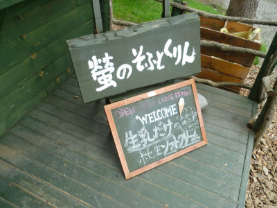 新婚旅行・2日目前半。_f0108346_1329074.jpg