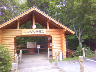 f0108346_1337185.jpg