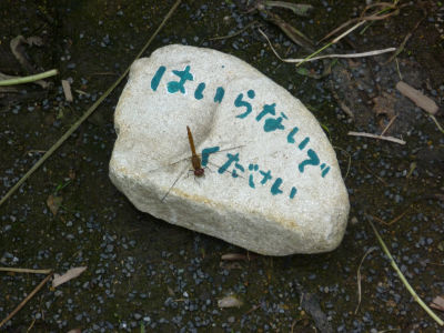 f0108346_13433942.jpg