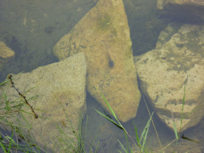 f0108346_13445366.jpg