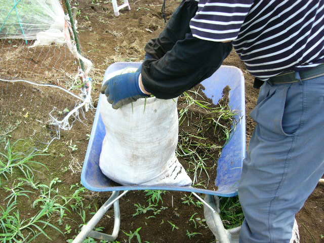 c0222448_1602356.jpg