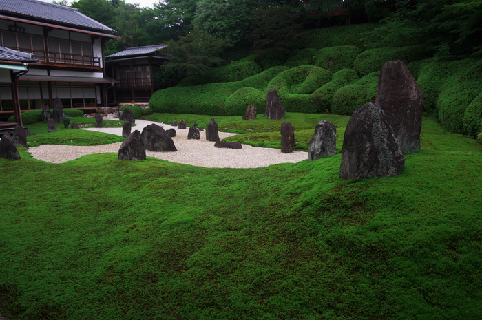 緑美しい光明院　その２_f0155048_23261960.jpg