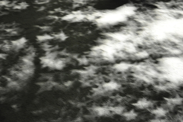 e0130953_127130.jpg