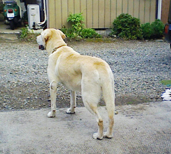 f0014756_92453.jpg