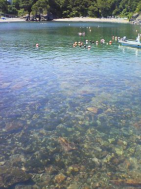 a0096557_202740100.jpg