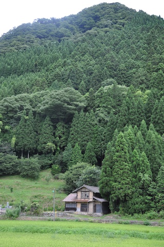 d0128759_14334184.jpg