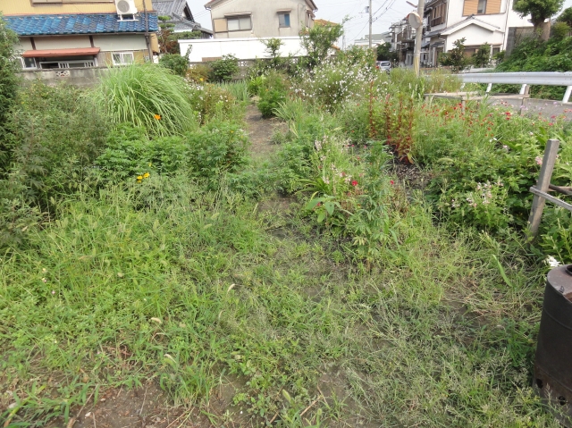 c0108460_13432396.jpg