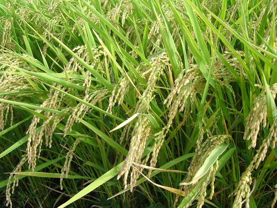 FC茨城出張す。_e0003660_16401580.jpg