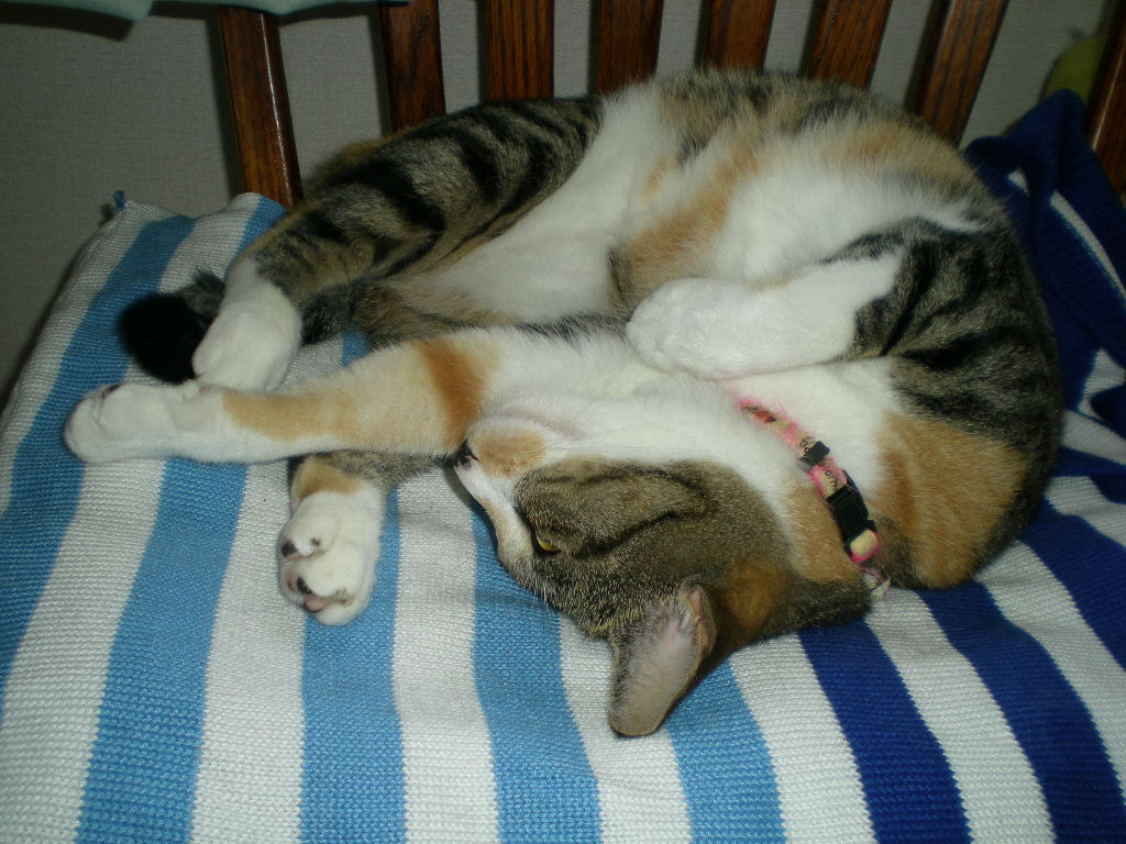 2010年8月13日(金)お盆休み②_f0060461_11204674.jpg