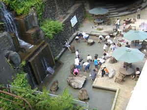 f0131263_3432478.jpg