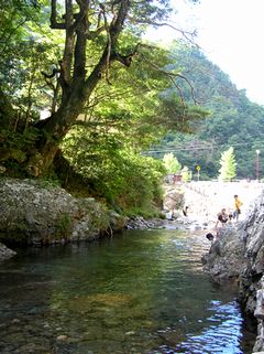 f0131263_3501354.jpg