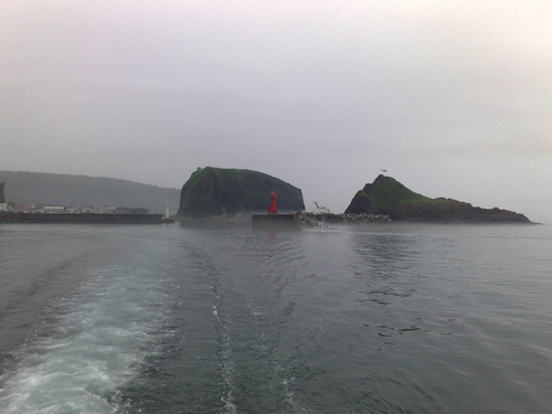 e0080165_23394152.jpg