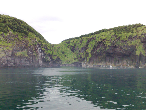 e0080165_23402311.jpg